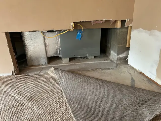 A wall opened at its base, showing damaged drywall, studs and wiring above a pulled-back carpet.